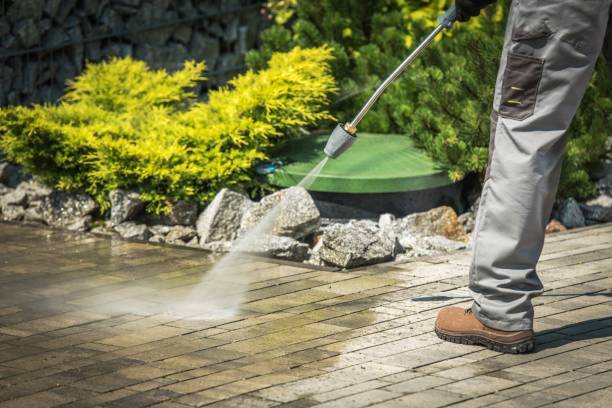 Best House Exterior Washing  in Morris, MN