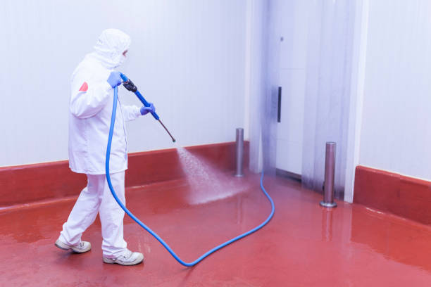 Best Rust Removal  in Morris, MN