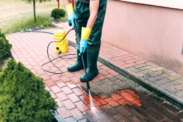 Best Sidewalk and Walkway Cleaning  in Morris, MN